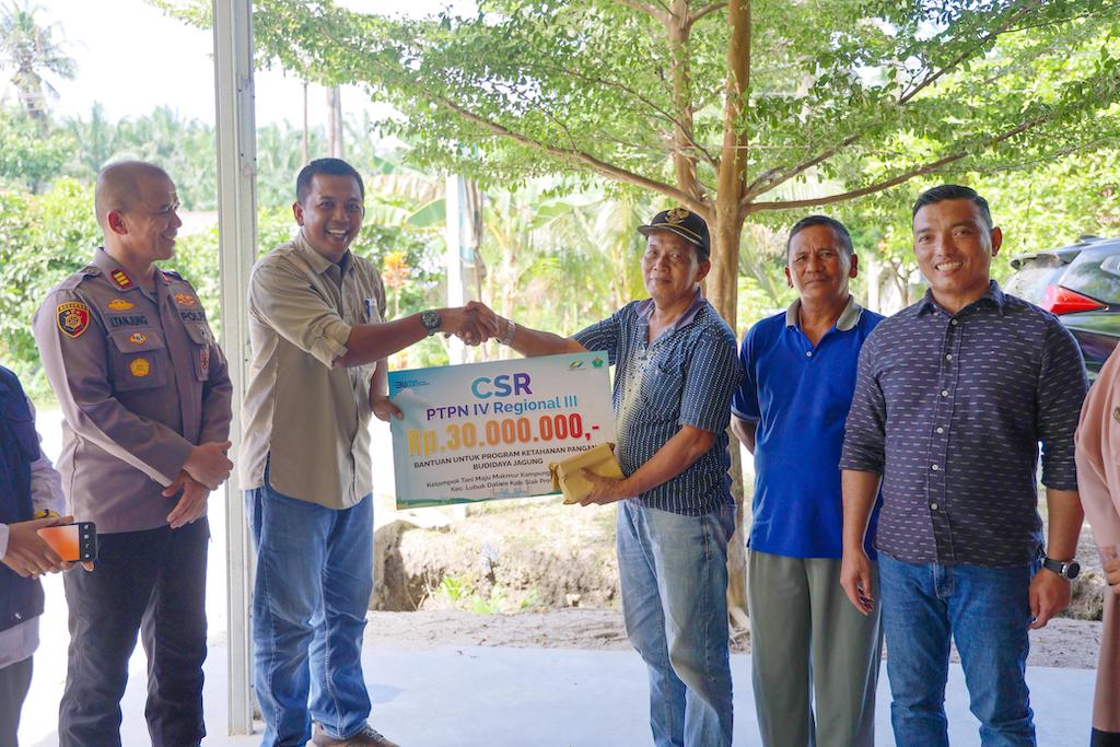 PTPN IV Regional III Dukung Budidaya Jagung di Siak, Perkuat Ketahanan Pangan Lewat TJSL