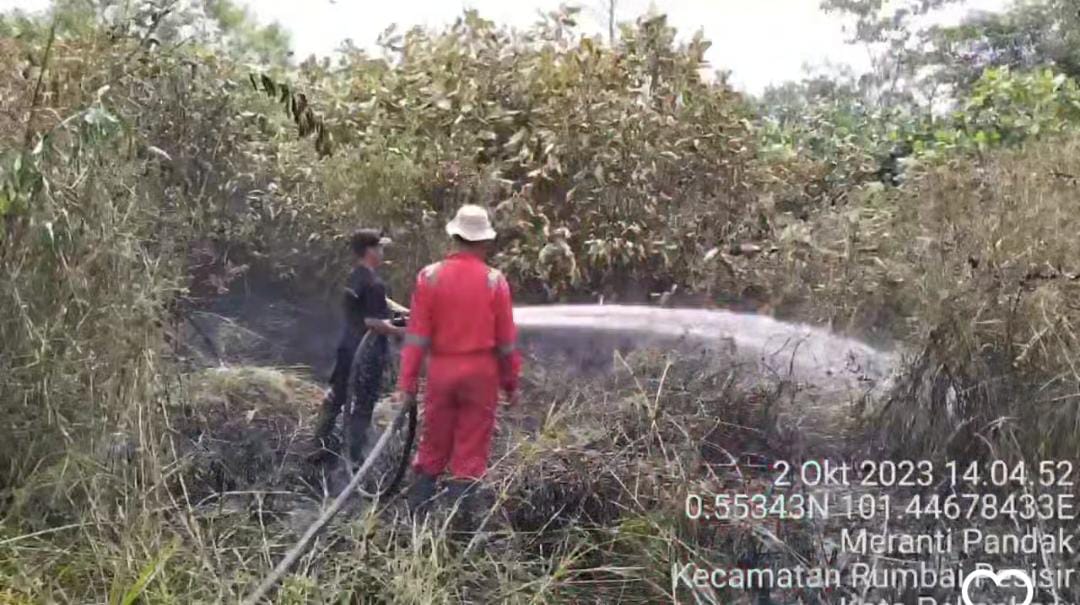 BPBD Pekanbaru Padamkan Kebakaran Lahan di 5 Lokasi