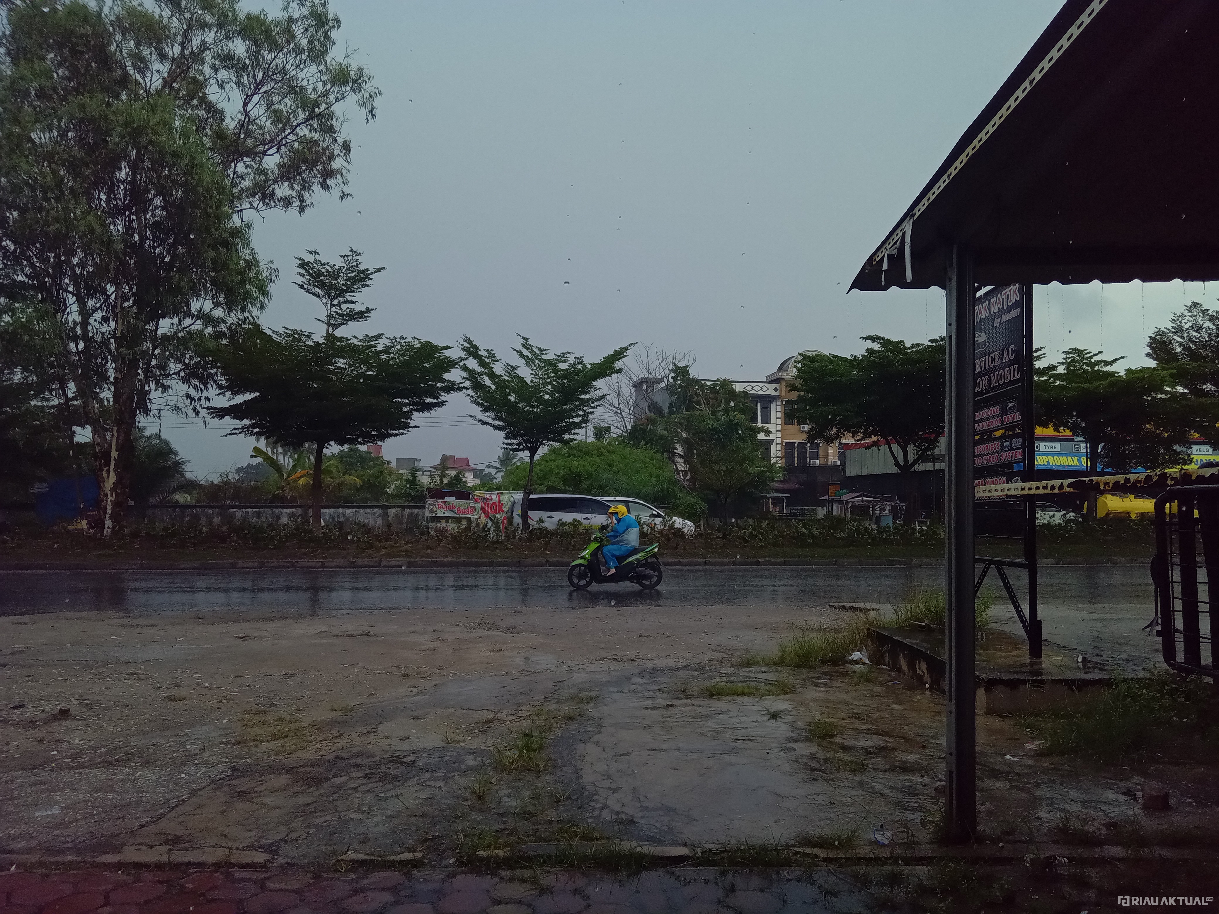 Riau Bakal Diguyur Hujan dan Angin Kencang, Cek Prakiraan Cuaca Disini!