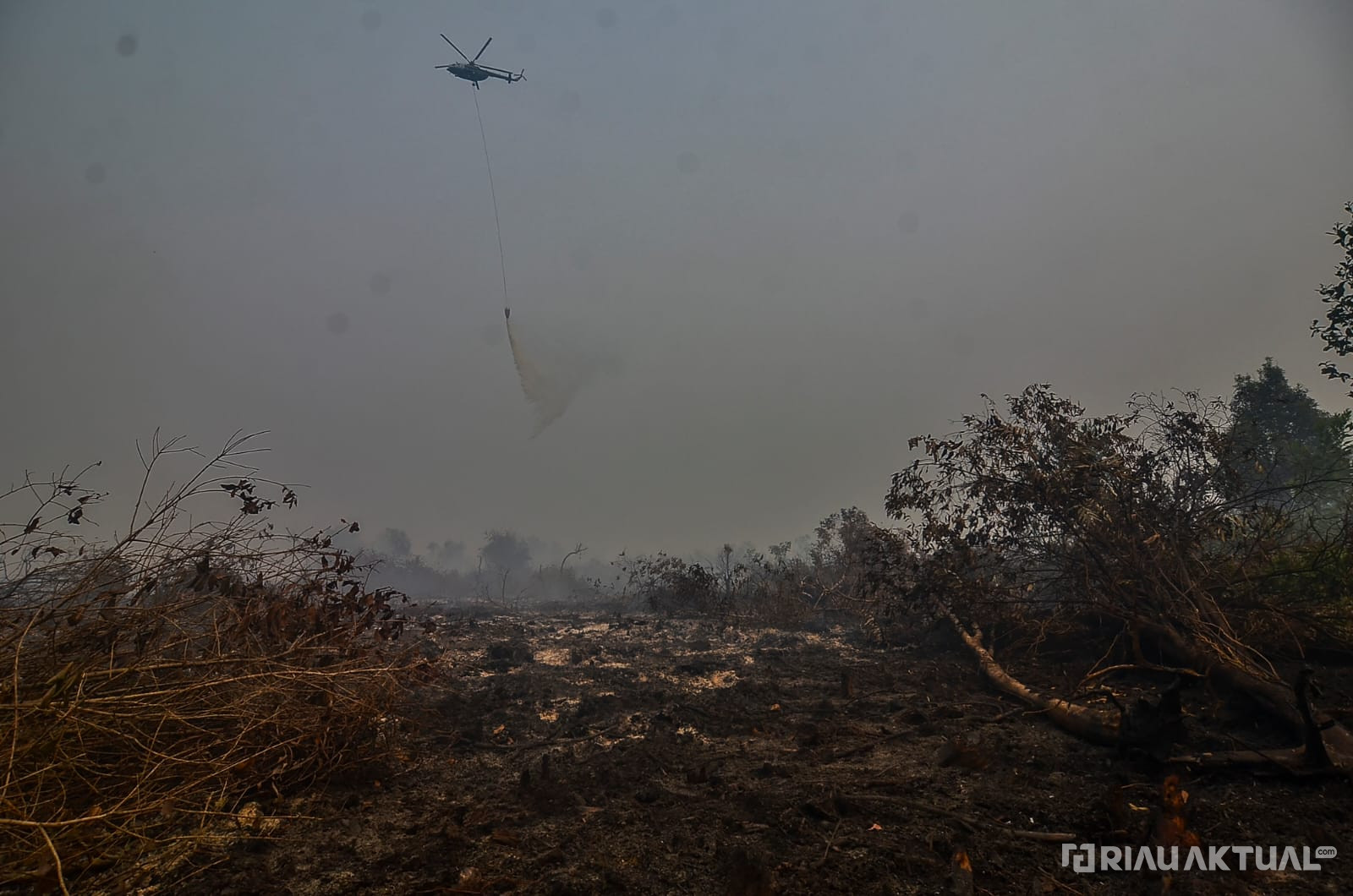 Titik Panas di Sumatera Meningkat, 77 Titik ada di Riau