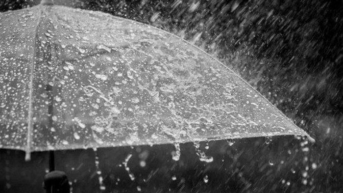 Prakiraan Cuaca Riau: Potensi Hujan Terjadi di Sore Sampai Dini Hari, Waspada Cuaca Ekstrem