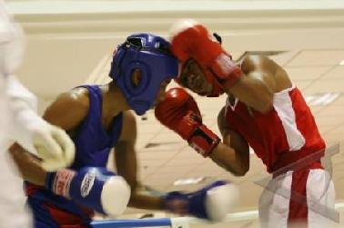 Hadapi Sarung Tinju Emas, Pertina Riau Kirimkan Tiga Atlet ke Makasar