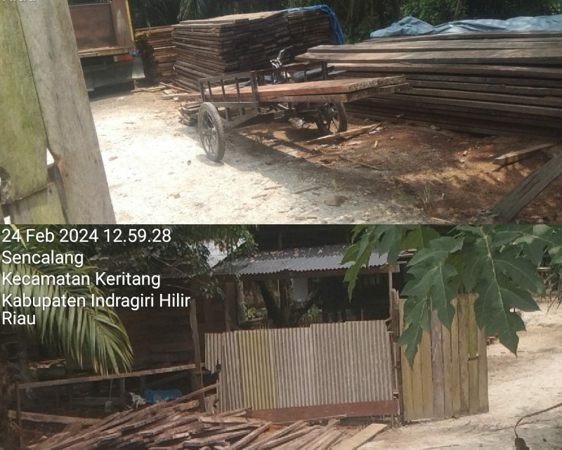 Sawmill di Indragiri Hilir Riau Diduga Olah Kayu Ilegal Logging, Kapolsek Keritang: Kita akan Cek Dulu