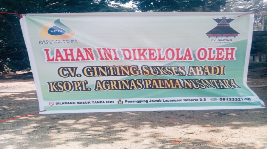 Aksi Panen Paksa Heboh di Rohul, Sekelompok Orang Mengaku KSO PT Agrinas Palma Nusantara