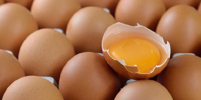 Konsumsi Telur Mentah, Sehat atau Tidak Untuk Tubuh?
