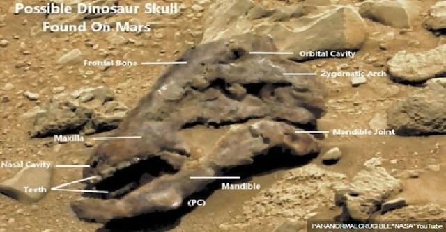 Dinosaurus Pernah Hidup di Mars