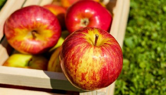 Luar Biasa, Konsumsi Apel Tingkatkan Aktivitas Belajar Anak