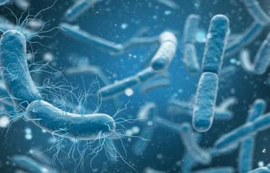 Sel Kanker Ternyata Mampu Dibunuh Hanya dengan Mengkonsumsi 7 Buah dan Sayur Ini