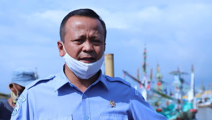 Menteri Edhy Prabowo Ditangkap KPK Terkait Ekspor Benih Lobster