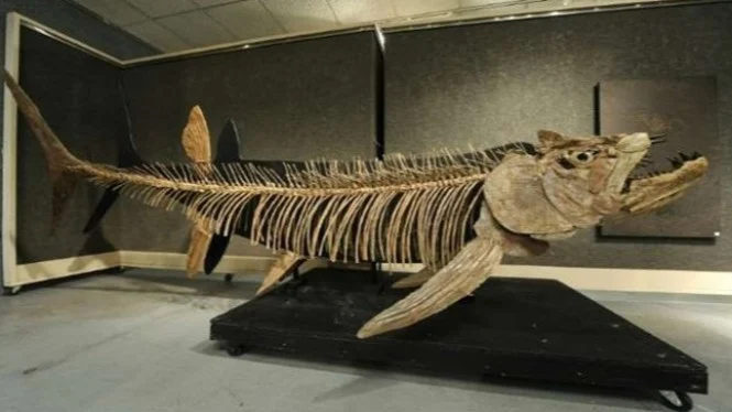 Fosil Ikan Predator Raksasa Ditemukan di Patagonia