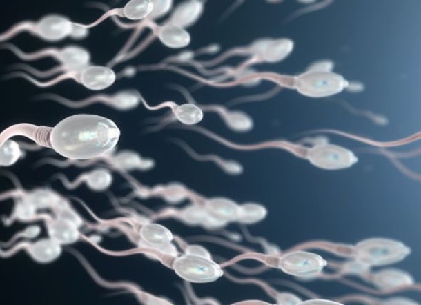 Heboh-heboh Pernyataan KPAI, Seberapa Lama Sperma Hidup di Luar Tubuh Pria?