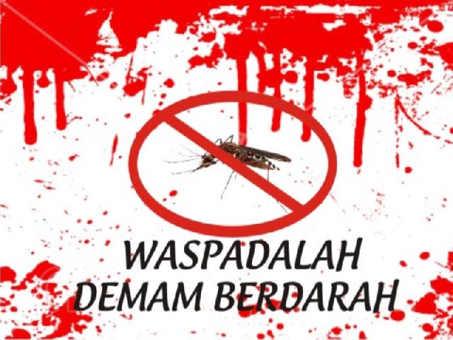 Kasus Demam Berdarah Terus Meningkat, Pemko Pekanbaru Belum Tetapkan KLB