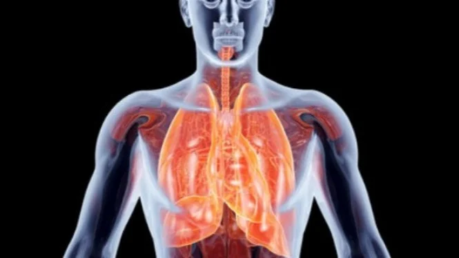Paru-paru Sehat Harus Diusahakan, Simak Begini Caranya