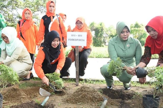 TP PKK Inhil Gelar Gerakan Tanam Dan Pelihara Pohon