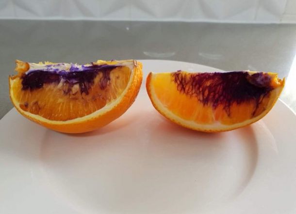 Misteri Jeruk Berubah Jadi Ungu Membuat Bingung Para Ahli