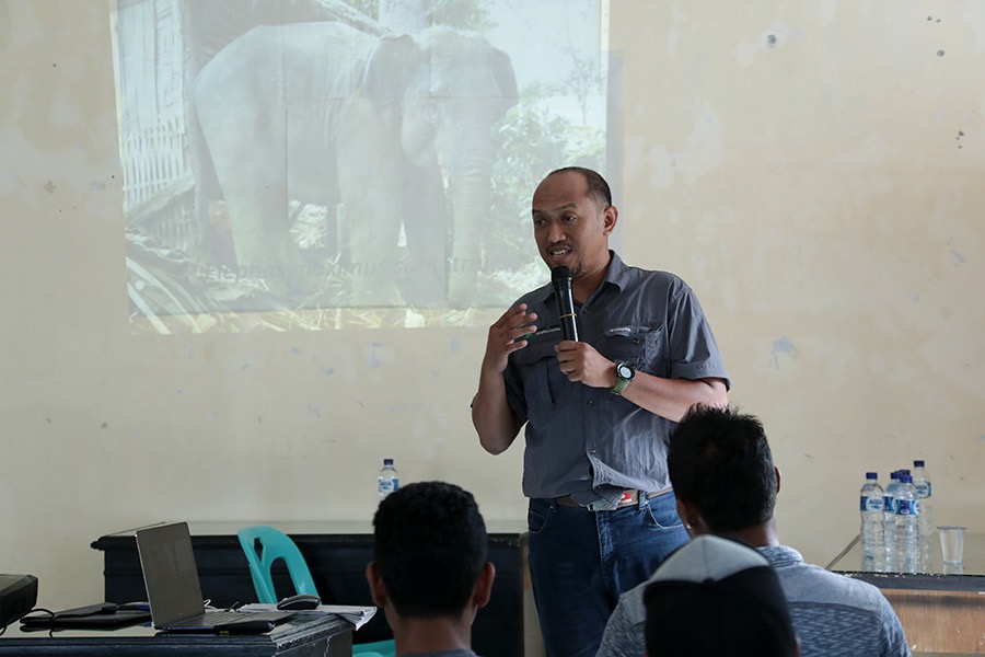 Tesso Nilo di Ambang Krisis, FKGI Serukan Aksi Selamatkan Gajah Sumatera