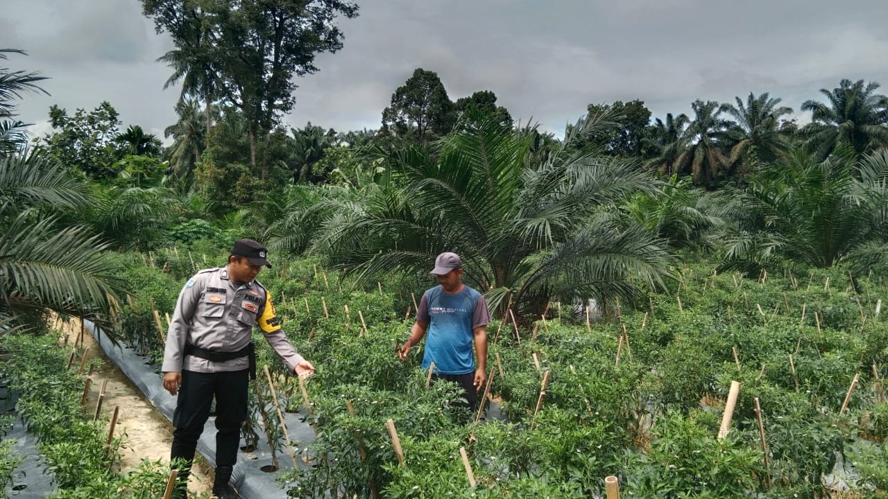 Dukung Asta Cita, Polsek Bangko Pusako Gelar Pembinaan Ketahanan Pangan