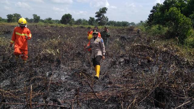 1 Hektare Lahan Gambut Terbakar di Pandau, Pembakar Masih Diselidiki