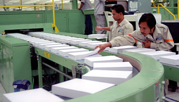 Ekspor Pulp dan Kertas dari Riau Melonjak, Cangkang Menggeliat 