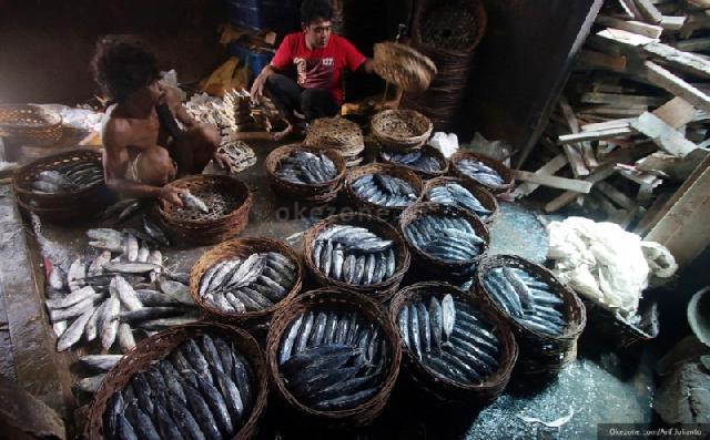 Izin Kapal Direvisi, Bisnis Budidaya Enggan Ekspor