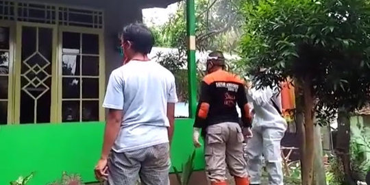Ada Fenomena Alam Langka di Banyumas, Ratusan Koloni Semut Serbu Rumah Warga di Satu RT