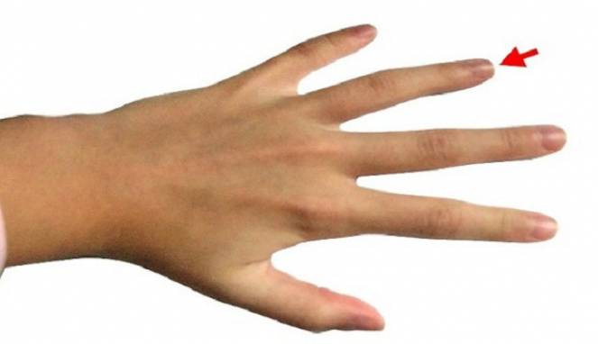 Jari Manis Tunjukkan Berapa Lama Pria Bertahan saat Bercinta