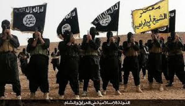 Akademisi sebut anak muda yang galau mudah terpikat dengan ISIS
