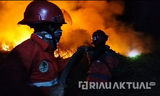 220 Titik Panas Tersebar di Riau, Indragiri Hulu Penyumbang Terbanyak