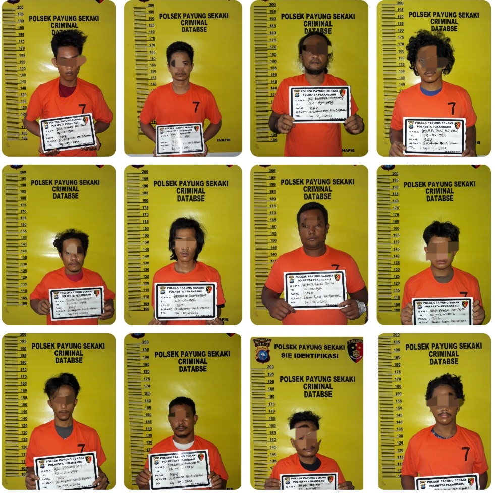 Dijual Seharga Rp8,6 Juta, 11 Pencuri Kabel Listrik di Pekanbaru Diringkus Bersama Penadah