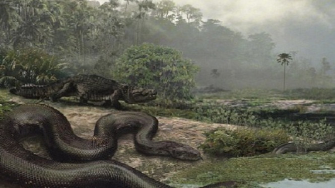 Pertarungan Ular Raksasa dan Buaya Monster 60 Juta Tahun Lalu