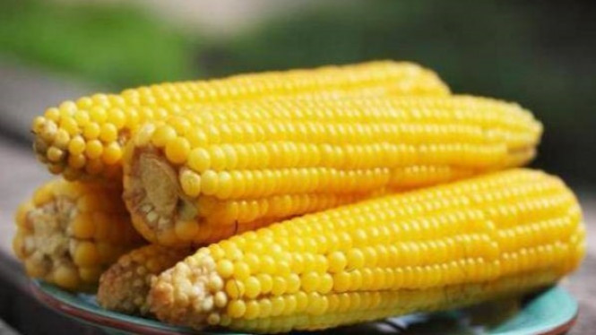 Wah Ternyata Jagung, Sayuran Terbaik yang Bisa Sembuhkan Asam Urat