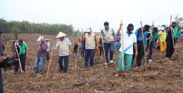 Rohul Siapkan 2000 Hektar Lahan Untuk Tanaman Kedelai