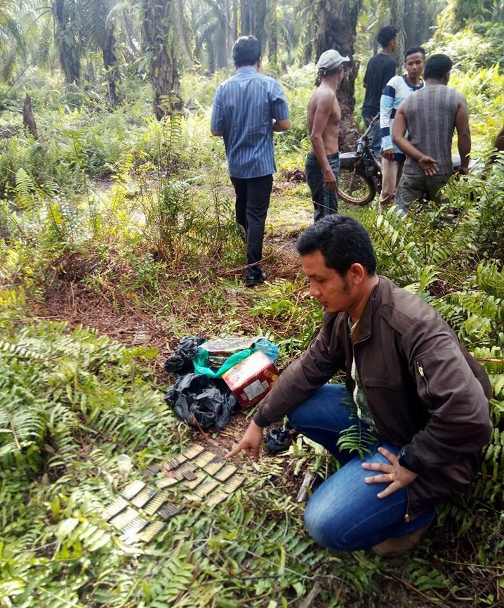 Ratusan Peluru Aktif Ditemukan di Kebun Sawit Gurun Panjang Dumai
