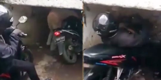 Ada-ada Saja, Lewat Terowongan Unik di Brebes Ini Pemotor Harus Kayang hingga Bungkuk