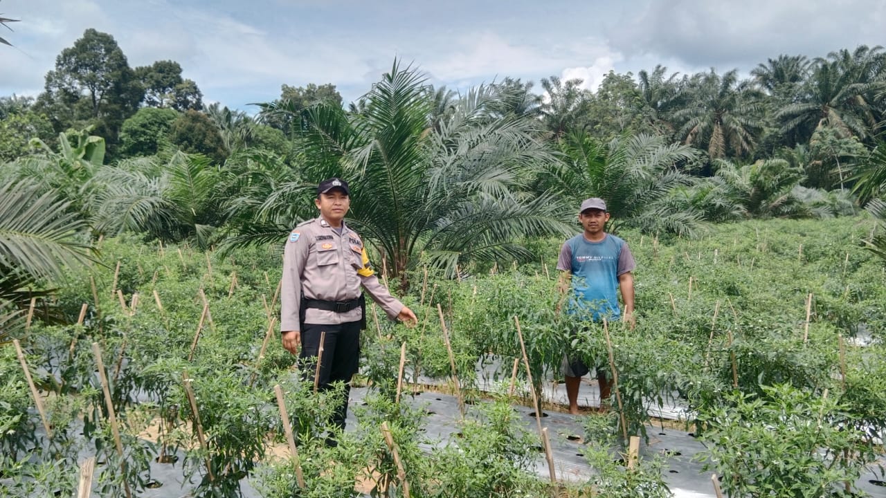 Polsek Bangko Pusako Gelar Pembinaan Ketahanan Pangan ke Masyarakat