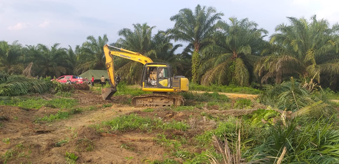 Konflik Lahan di Gondai, Pakar Lingkungan Sebut Negara Lemah