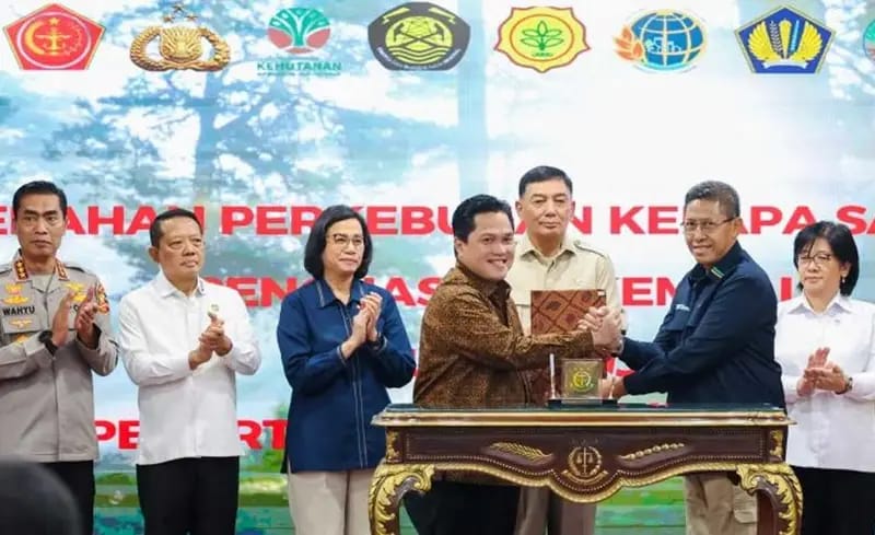 Harapan Pecinta Lingkungan Pupus, Jutaan Hektar Kebun Sawit Sitaan Justru 'Diputihkan' Demi BUMN