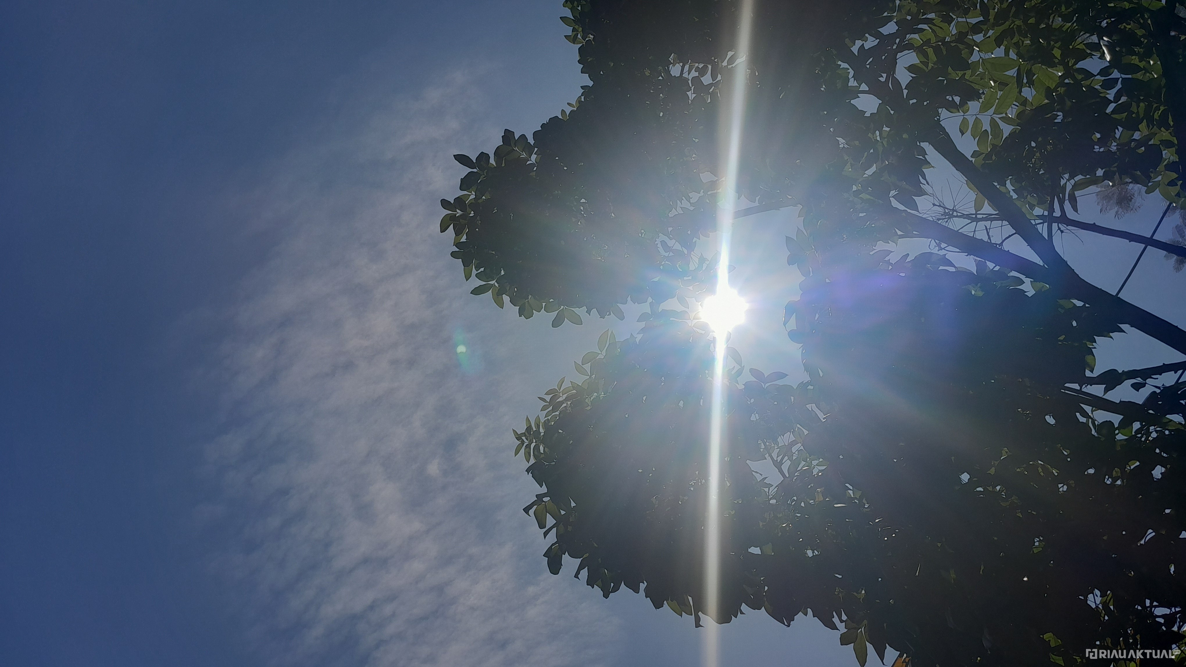 Riau Cerah Sepanjang Hari, 46 Titik Panas Terdeteksi di Sejumlah Wilayah