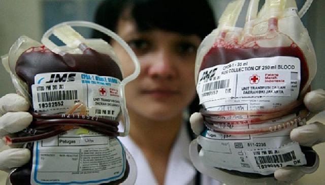PMI Pekanbaru Bantah Lakukan Aksi Jual Beli Darah