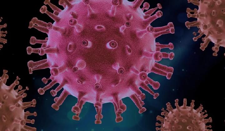 Peneliti Ungkap Waktu Penularan Terbanyak pada Pasien Virus Corona