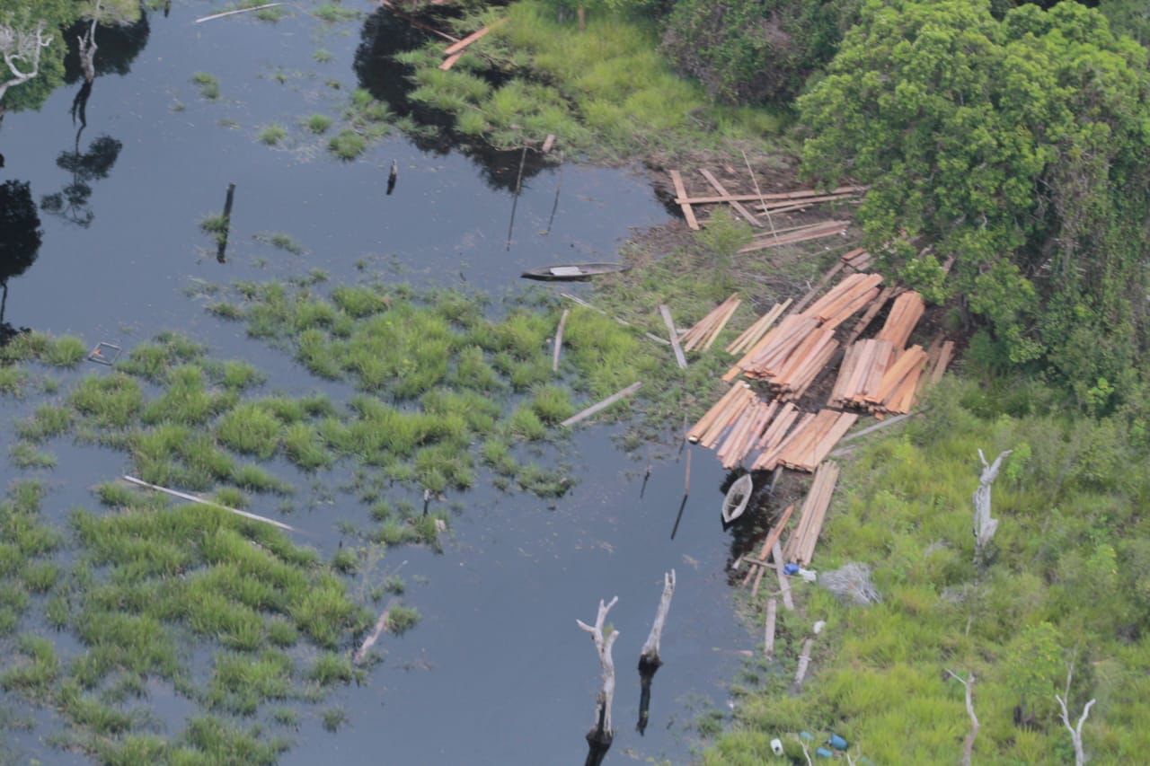 Kapolda Riau Ingin illegal Logging Kayu Harus Dihentikan