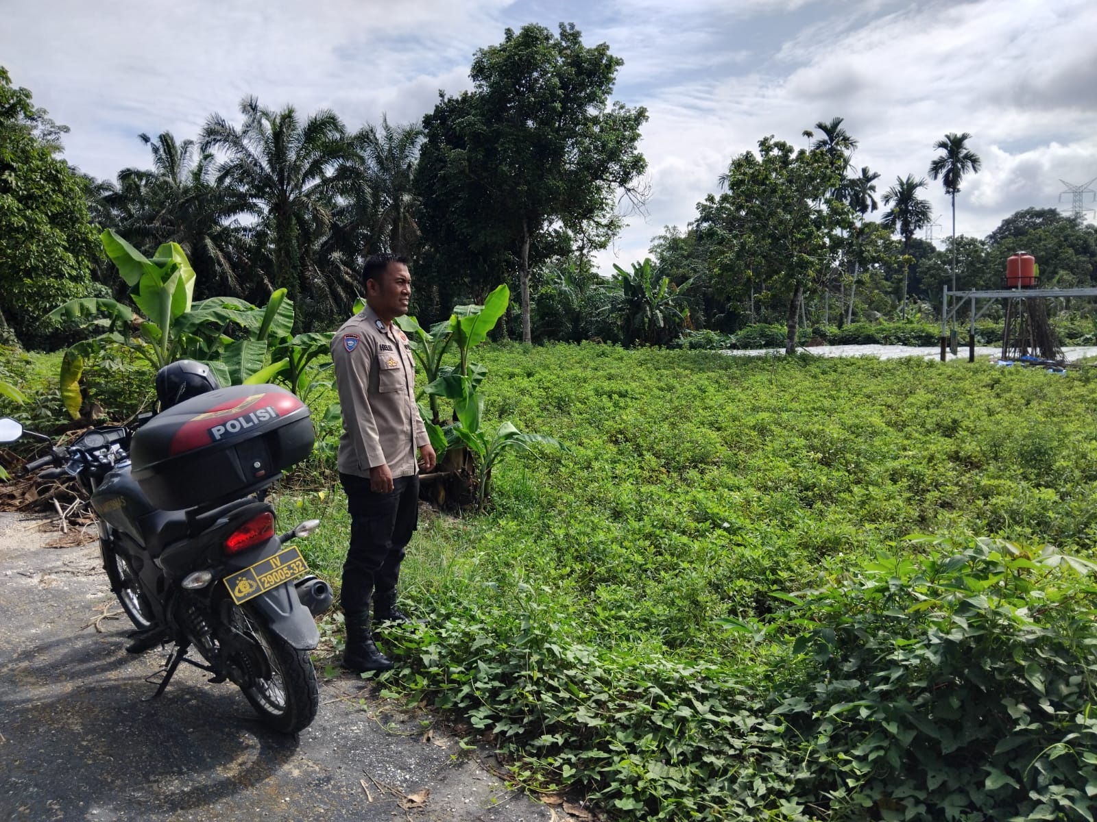 Dukung Ketahanan Pangan Bergizi, Polsek Tambang Cek Hasil Tanaman di Desa Sungai Tarap