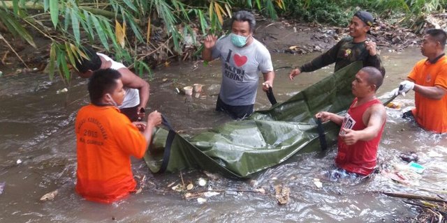 Lagi Panjat Pohon Kelapa, Tantra Terkejut Melihat Mayat Setengah Bugil di Sungai