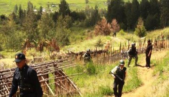 Kelompok Bersenjata Papua Perkosa Penduduk di Malam Hari