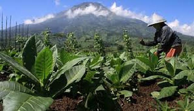 Kembangkan Industri Nasional yang Tangguh  