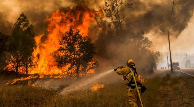 Riau dan Sumsel Jadi Daerah Rawan Kebakaran Hutan