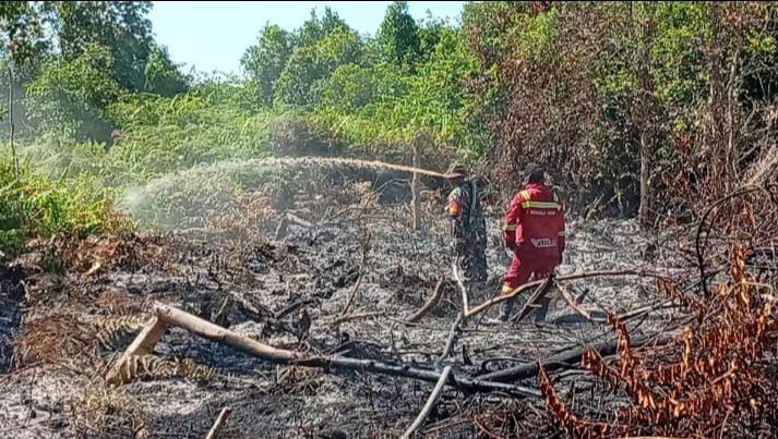Lahan Gambut di Kampar Terbakar, Diduga Sengaja Dibakar untuk Buka Lahan