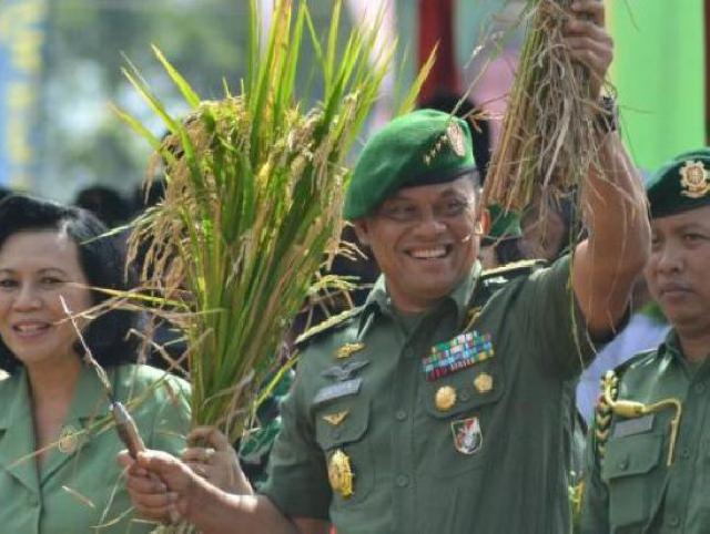 Panglima TNI akan Tanam Padi di Kabupaten Siak