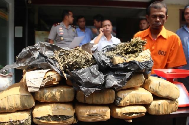 Kepolisian tangkap tengkulak ganja