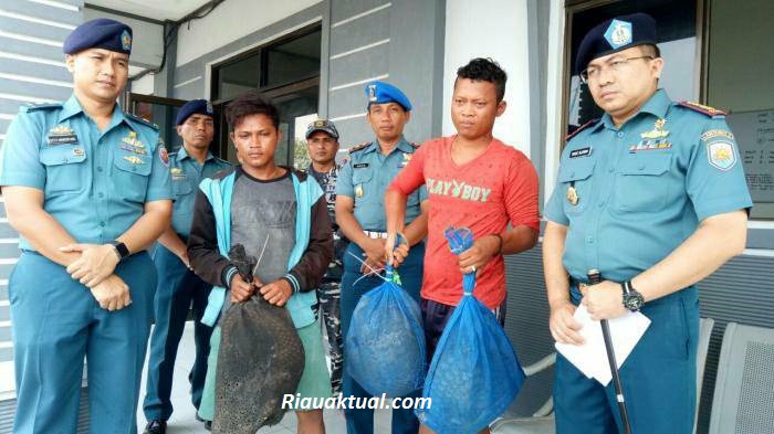 Tim WFOR 1.6 Lanal Dumai Gagalkan Penyelundupan 100 Ekor Tringgiling di Perairan Bengkalis